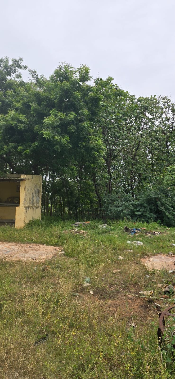 WhatsApp-Image-2024-09-24-at-11.14.00-AM