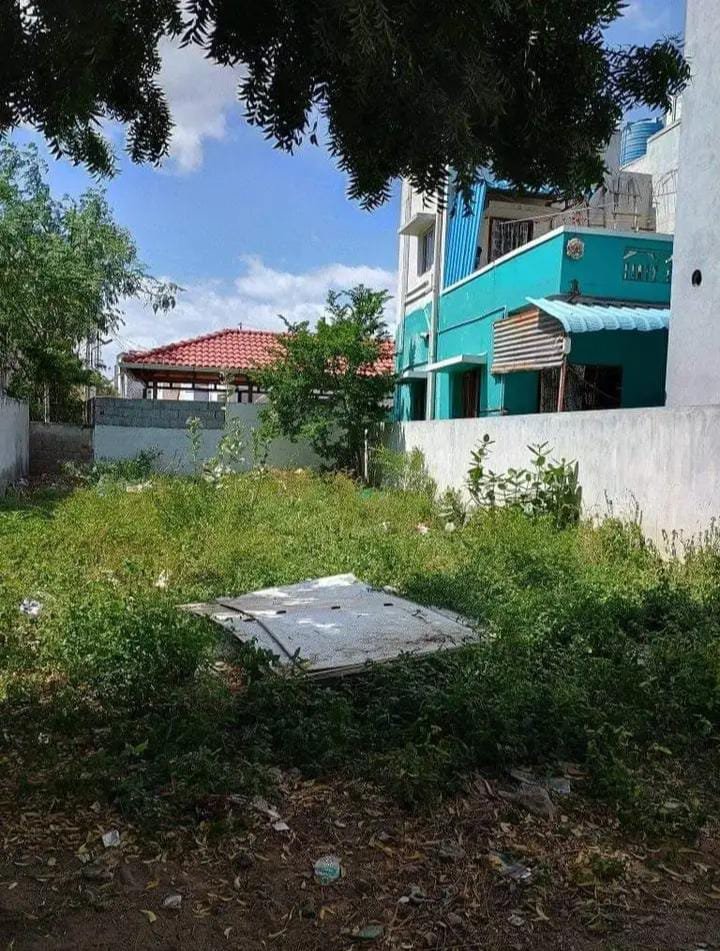 WhatsApp-Image-2024-09-24-at-4.39.19-PM