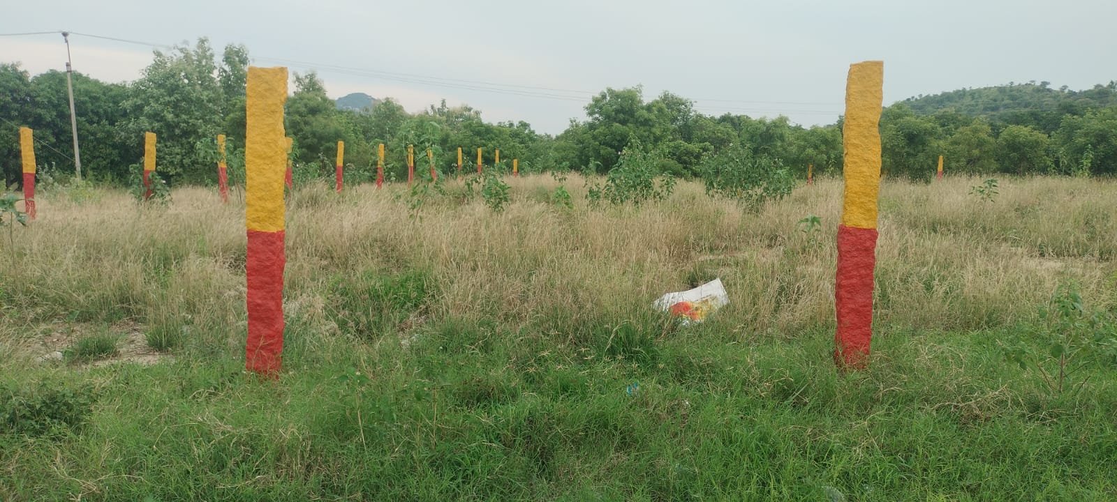 WhatsApp-Image-2024-10-03-at-5.02.07-PM