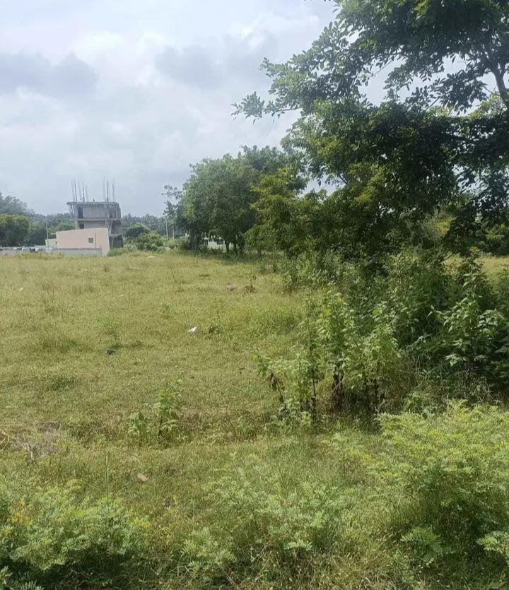 WhatsApp-Image-2024-10-26-at-10.26.44-AM