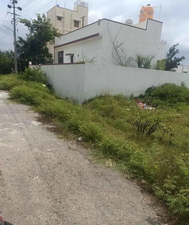 WhatsApp-Image-2024-10-26-at-10.26.45-AM