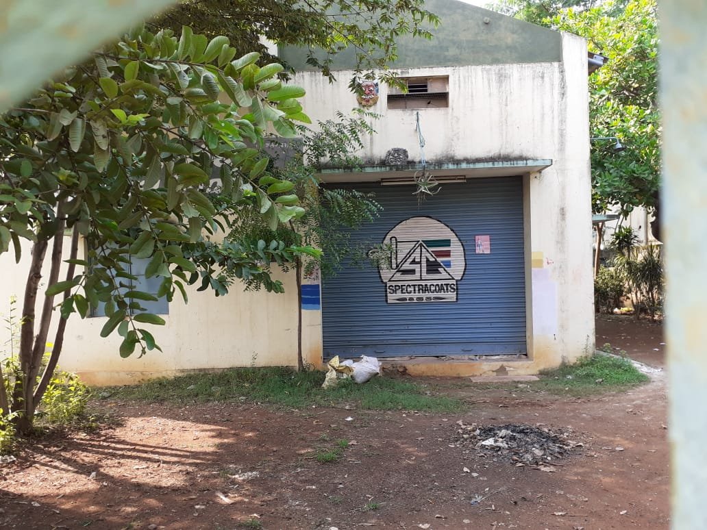 WhatsApp-Image-2024-10-28-at-11.24.57-AM