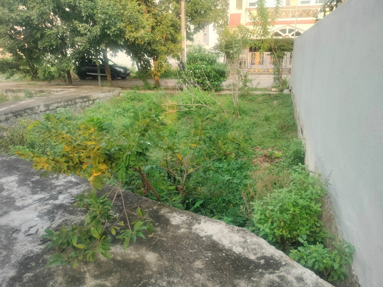 WhatsApp-Image-2024-10-28-at-4.52.20-PM-1