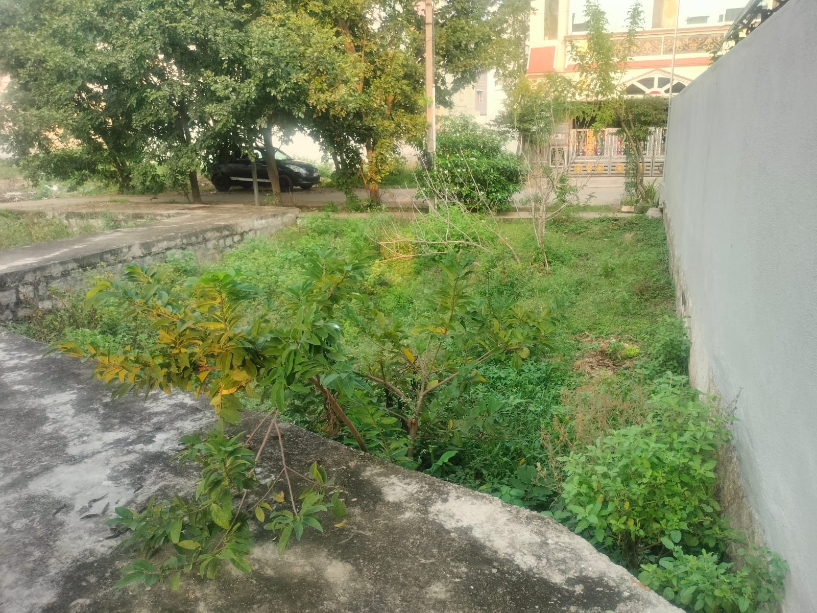 WhatsApp-Image-2024-10-28-at-4.52.20-PM