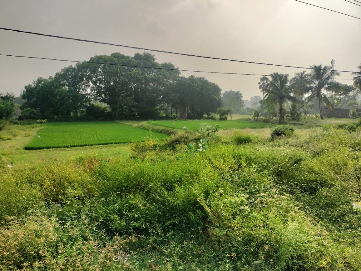 IMG-20241118-WA0009-1