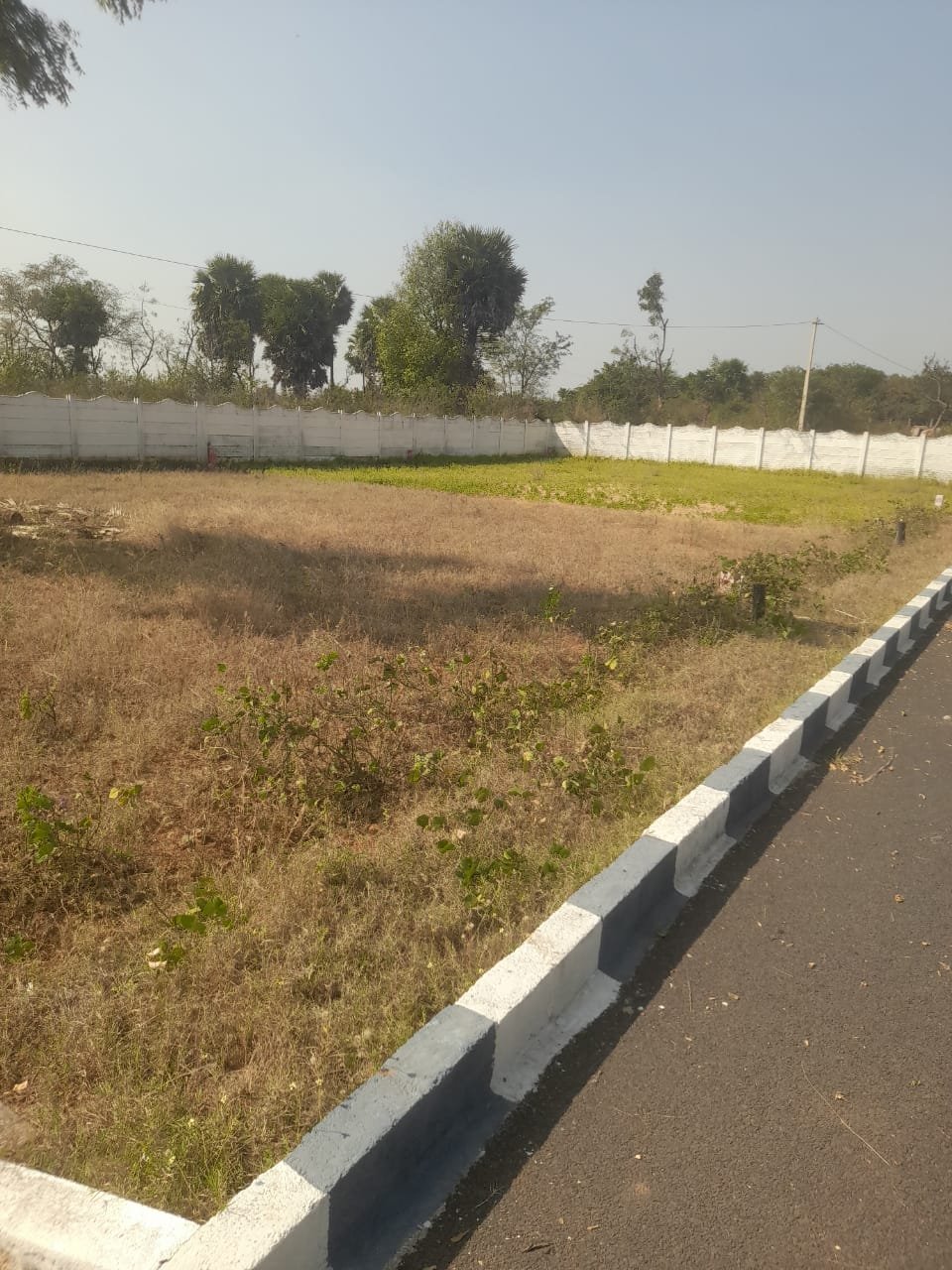 WhatsApp-Image-2025-02-17-at-11.36.27-AM