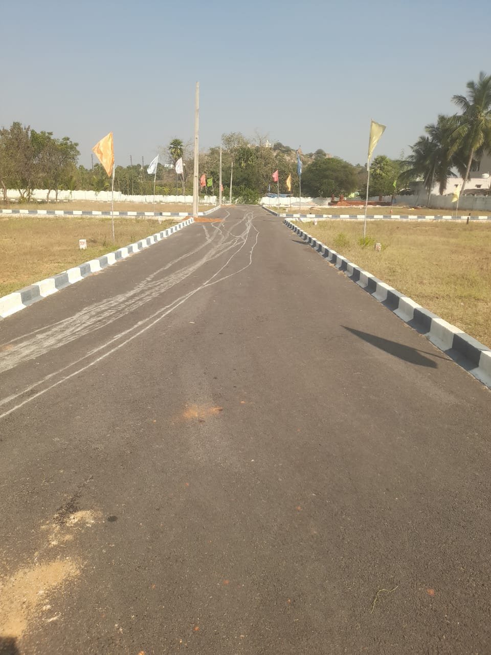 WhatsApp-Image-2025-02-17-at-11.36.47-AM