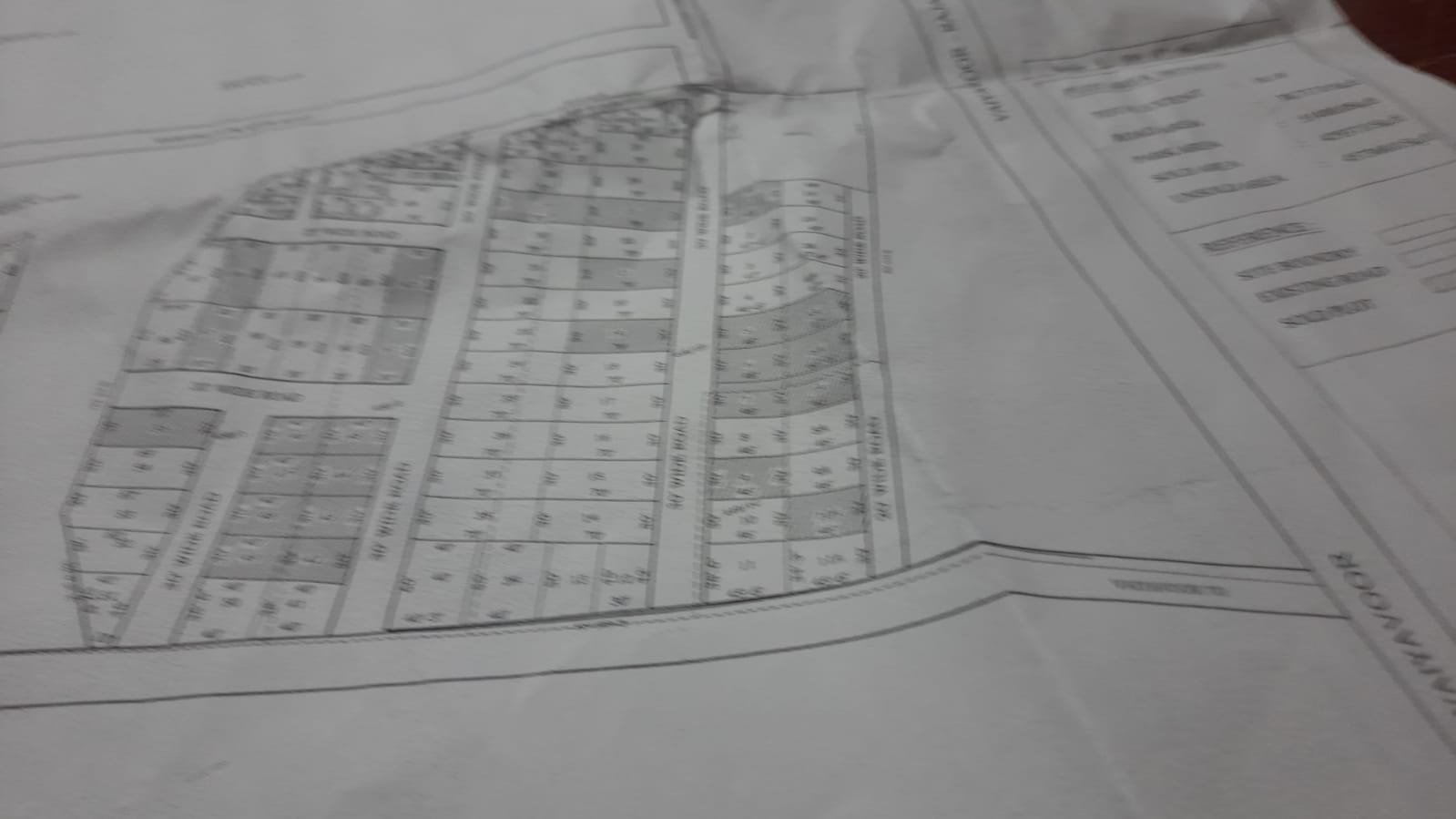 WhatsApp-Image-2025-02-21-at-3.03.59-PM-1-1