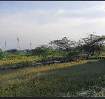 WhatsApp-Image-2025-02-22-at-12.29.33-PM