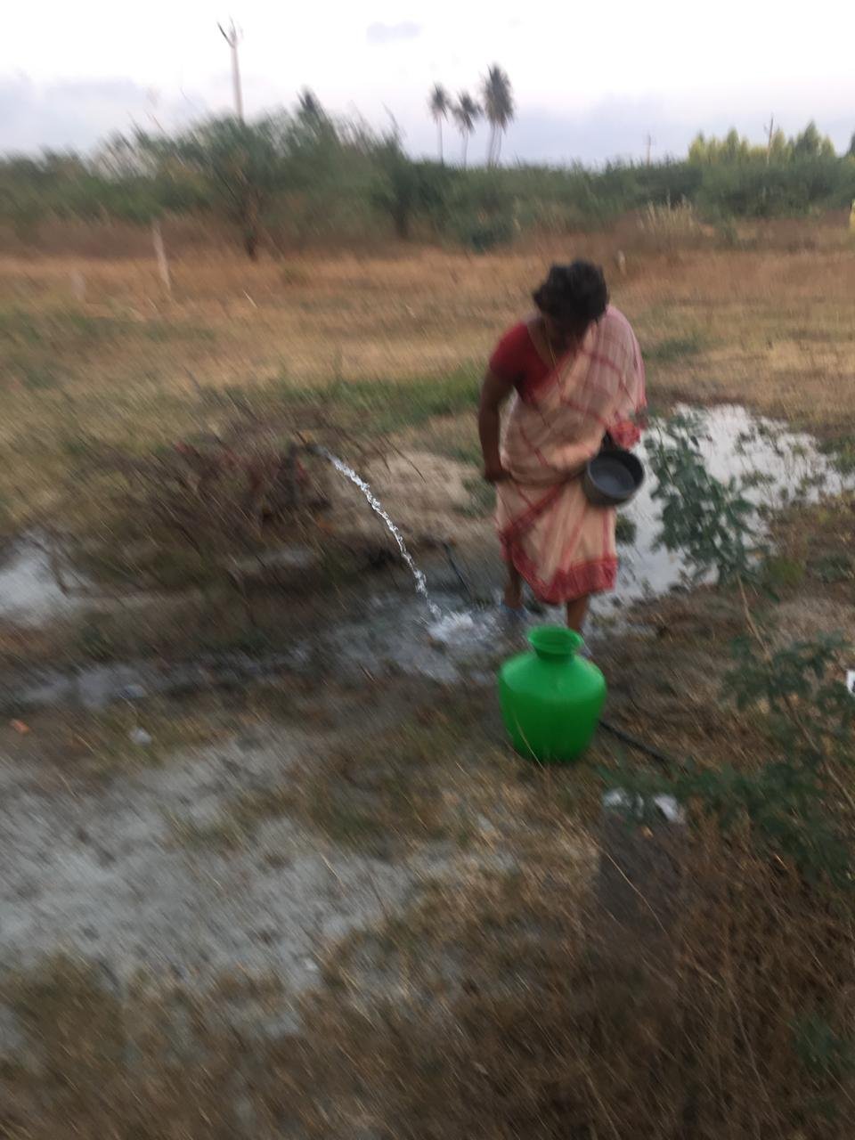 WhatsApp-Image-2025-02-24-at-4.16.38-PM