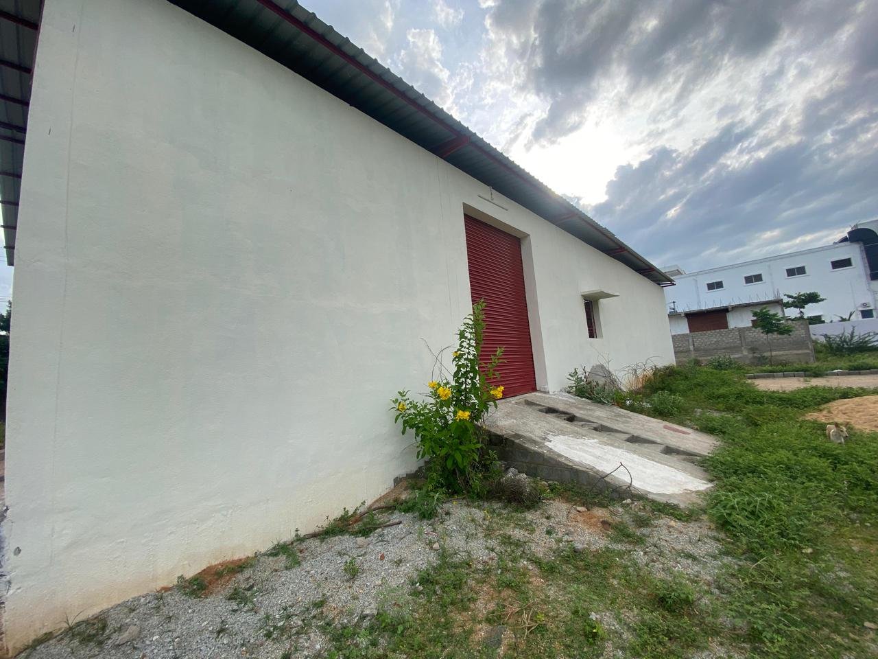 WhatsApp-Image-2025-03-01-at-7.20.26-PM