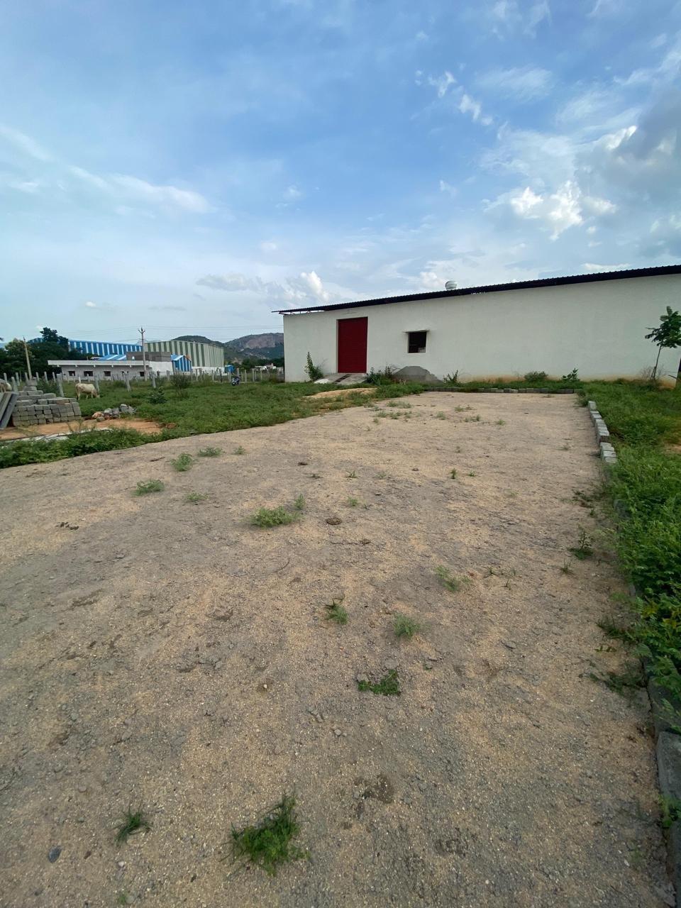 WhatsApp-Image-2025-03-01-at-7.20.27-PM