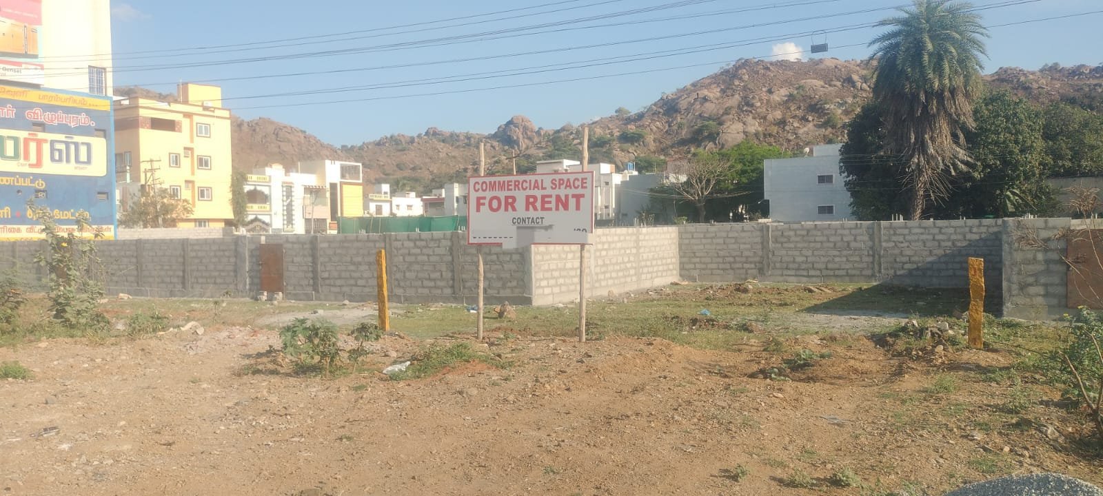 WhatsApp-Image-2025-03-03-at-10.55.38-AM