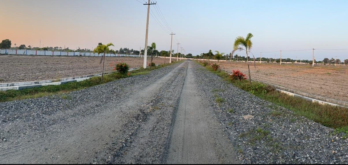 WhatsApp-Image-2025-03-05-at-5.41.56-PM-1