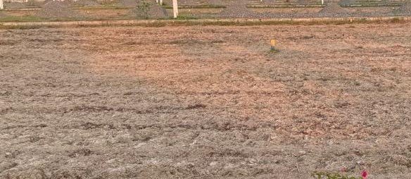 WhatsApp-Image-2025-03-05-at-5.41.56-PM-3-1