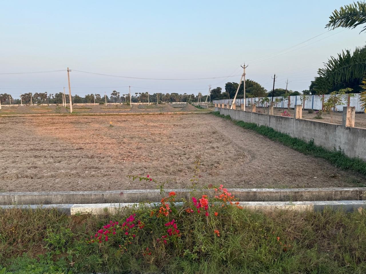 WhatsApp-Image-2025-03-05-at-5.41.56-PM-3