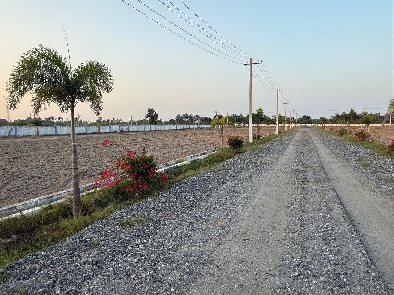 WhatsApp-Image-2025-03-05-at-5.41.56-PM-5