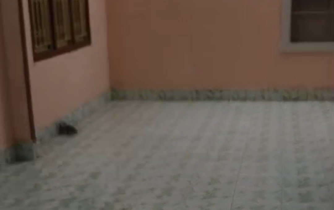 IMG_20250406_153728-1