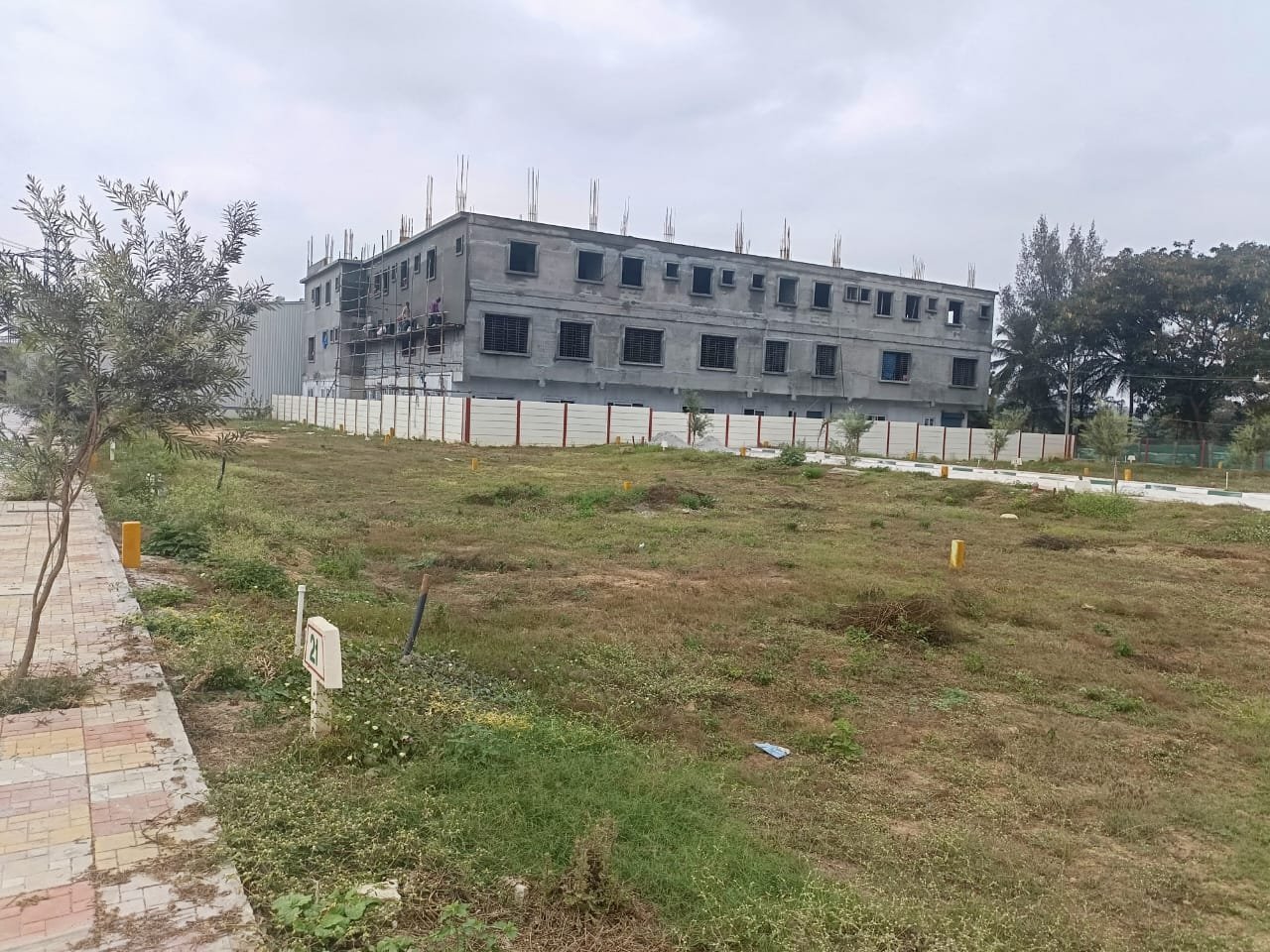 WhatsApp-Image-2025-03-01-at-6.44.41-PM