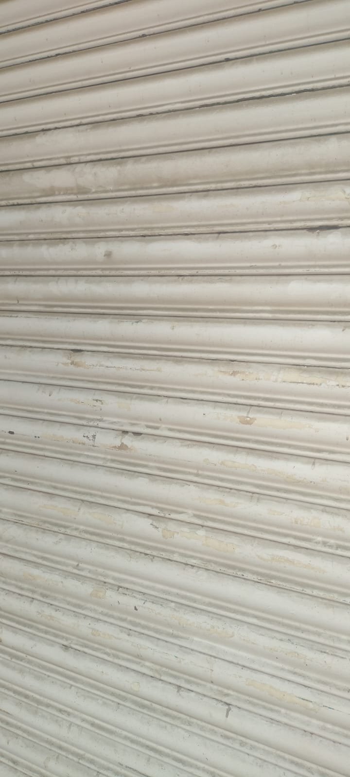 WhatsApp-Image-2025-05-02-at-12.47.32-PM-1